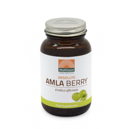 Absolute Amla Berry Extract 500mg - 60 capsules